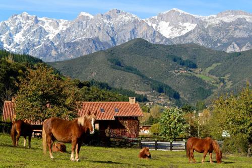 Hotel-Posada La Casa de Frama, Frama bei Espinilla