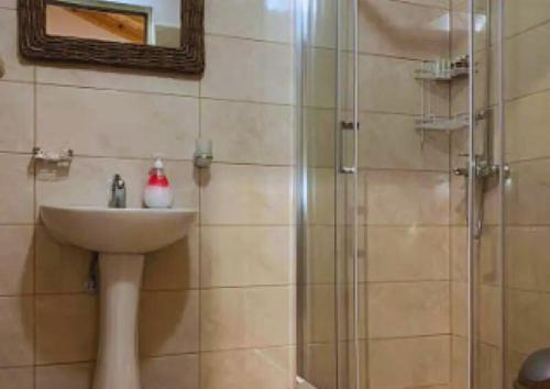 Vila Sofia - Guest House - image 14