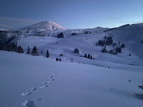 Vikendica KOLIBA NISAVIC in Bijelo Polje