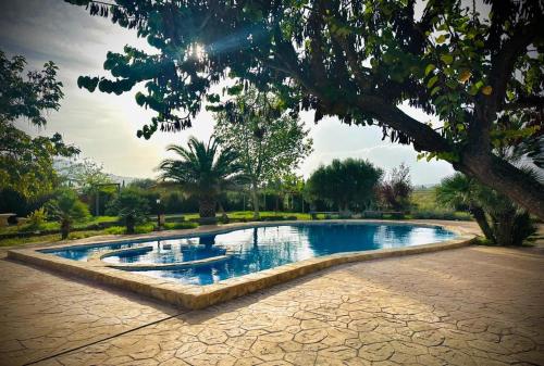  Los baladres in Caudete