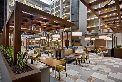 Embassy Suites by Hilton Orlando International Drive Convention Center - image 8