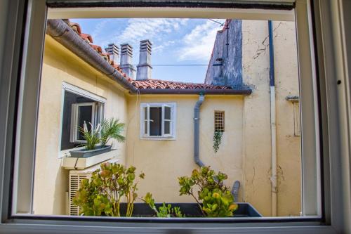 Viale 24, Trieste