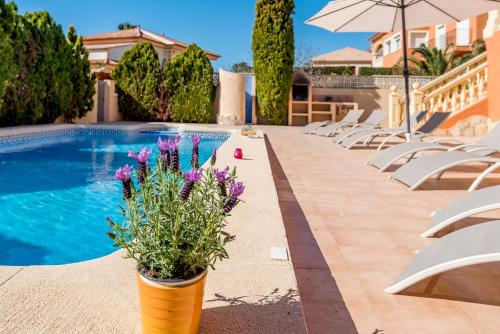 Villa Casita - Plusholidays - image 7