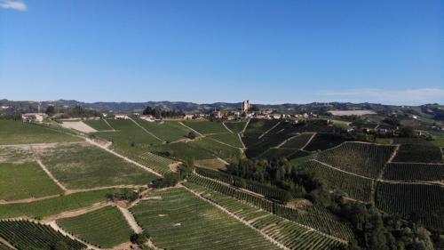  Cascina Parafada in Serralunga d'Alba