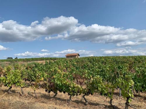 Les Sarments du Beaujolais, calme proche Lyon