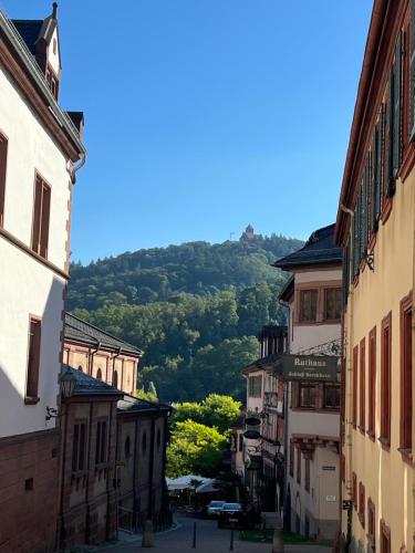 Ferienwohnung Burgenblilck in Weinheim