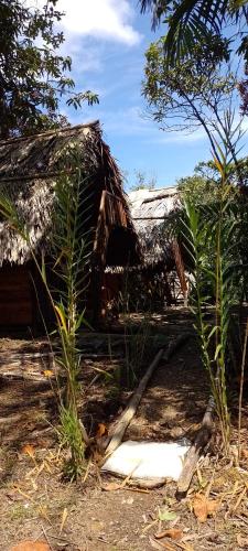 Cabañas Mangle House