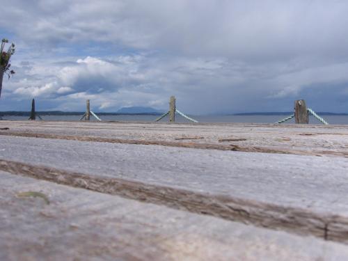 Ocean Resort - Hotel - Oyster Bay