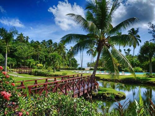สวน, RIBERAMAR Las Terrenas, Samana in ลาส เทอเรนาส