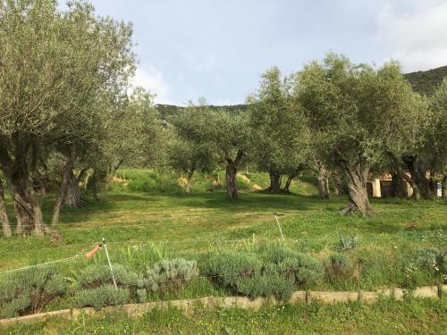 . Le Camping de Cucugnan