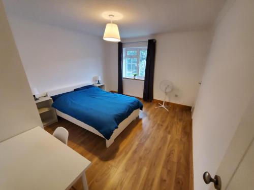 5 bedroom, recently renovated house close to Hastings Beach, Hastings (fotografie 9)
