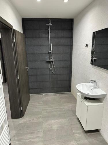 Byt apartman 73m2 Klid příroda Parking FREE, Prague (photo 10)