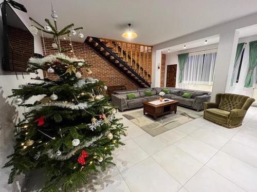 Casa Phoenix in Muntele Băişorii