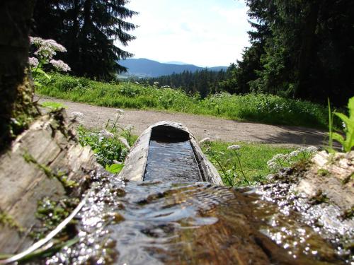 Ferienwohnung Rennsteigblick