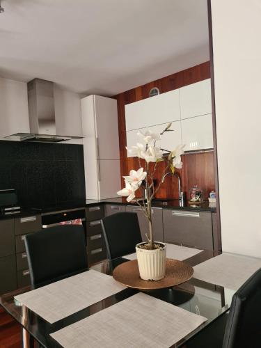 Warta LUX Apartment, self check-in 24h, free parking