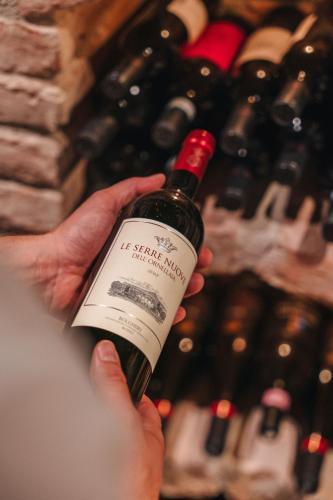 Arpuria l hidden luxury mountain home - ADULTS FRIENDLY