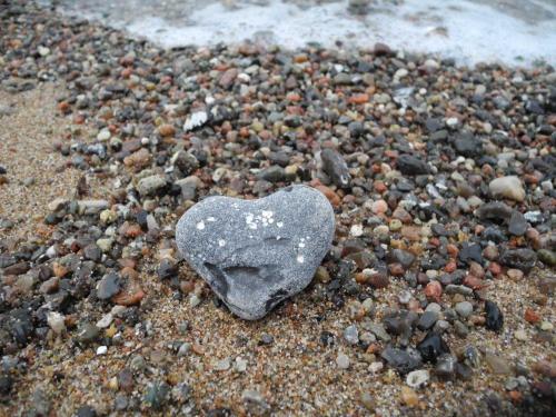 Ferienwohnung BoddenBlick Ferienwohnung BoddenBlick