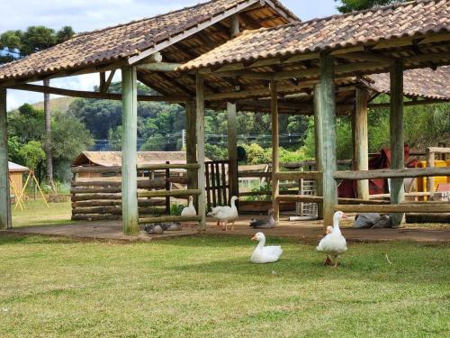 Linda Chácara a 20 min do centro de Curitiba