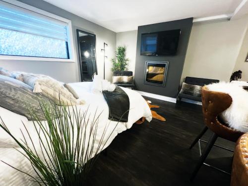 Stylish Boutique Studio - Apartment - London