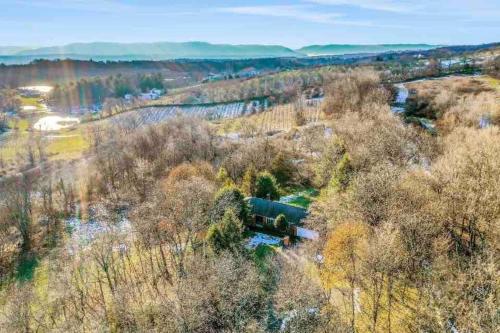 3 Bedroom Hilltop Escape with 5 Private Acres and Hot Tub in Crown Heights (NY)