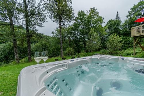 Pezsgőfürdő, Le chaga (#CITQ 297627) in Ste Brigitte De Laval (QC)