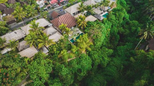 Luwak Ubud Villa & Jungle Suite - image 5
