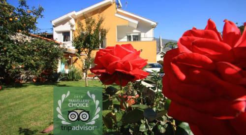 Pansion Rose - image 6