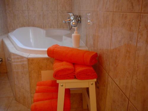Apartment Patera in Unhost
