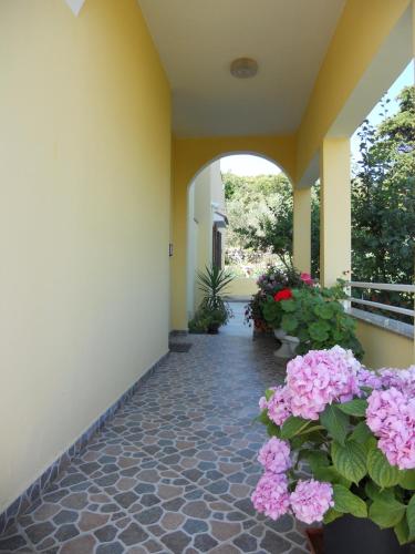 Apartment Gržanov - main image