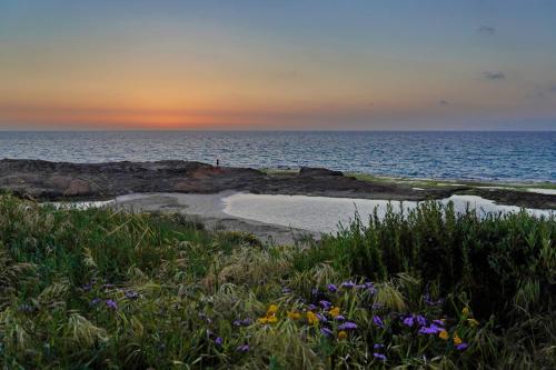 Beachfront Sea View Dream Escape