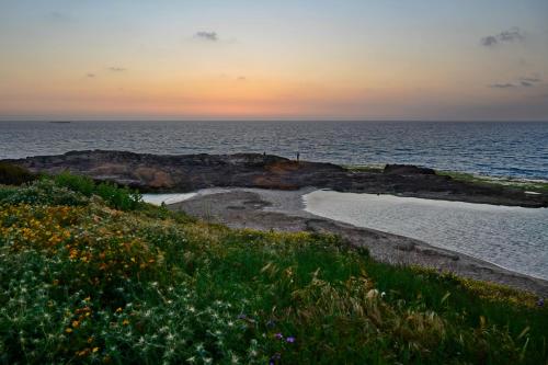 Beachfront Sea View Dream Escape