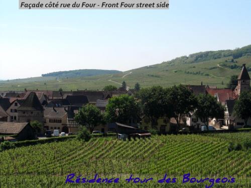 12Sud Face Vosges Comfortable Vineyard Free Wifi