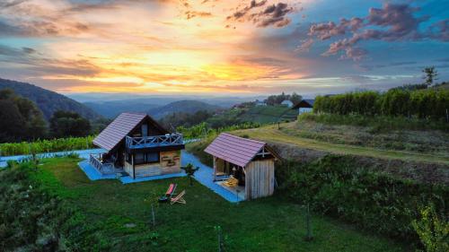 Vineyard cottage Vinska grajska kašča