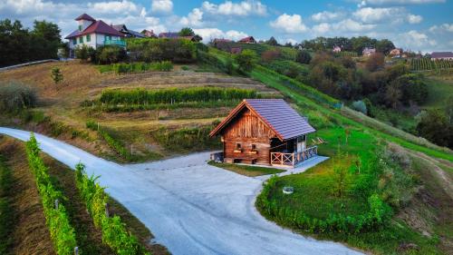 Vineyard cottage Vinska grajska kašča