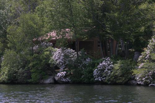 Cabin A-frame - Beautiful Cabin in Laurel Island