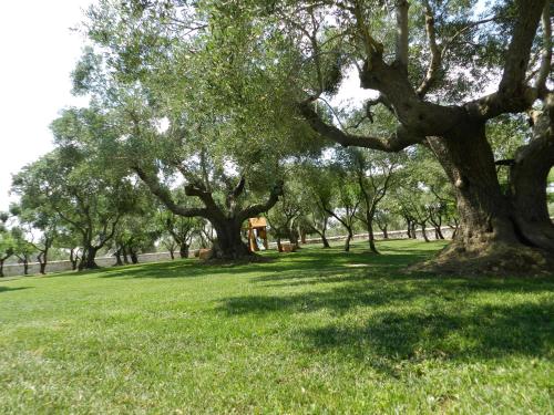 I Trulli Del Nonno Michele