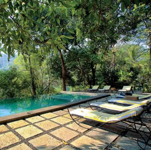 Rainforest Resort in Athirapally