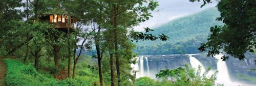 Rainforest Resort, Athirappilly (foto 7)