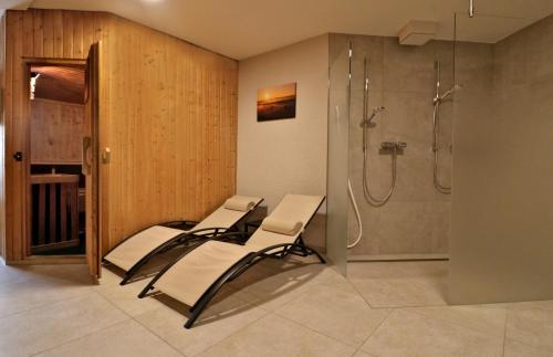 Fewo 1 - Residenz Schauinsland - mit Sauna, E-Ladestation, Todtnauberg, bei Feldberg