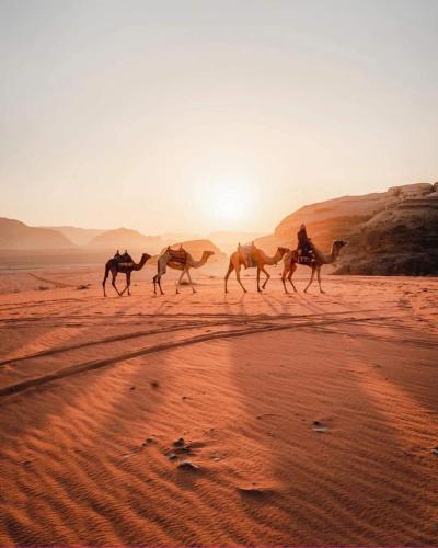 Wadi Rum...Hussein