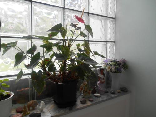 Motel Bavaria - image 8