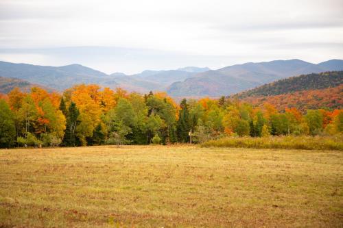 493796297 Lake Placid Inn Boutique Hotel
