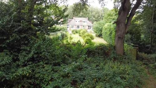 Abacus Bed and Breakfast Blackwater Hampshire - image 12