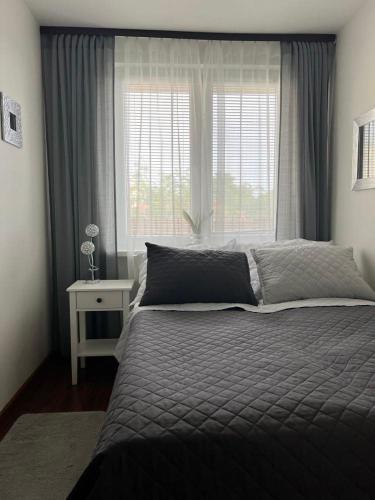 Apartament Cynamon, Sandomierz