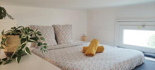 Appartement cosy au cœur de Sète