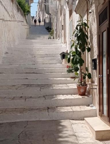 Pietra d' Ostuni 3