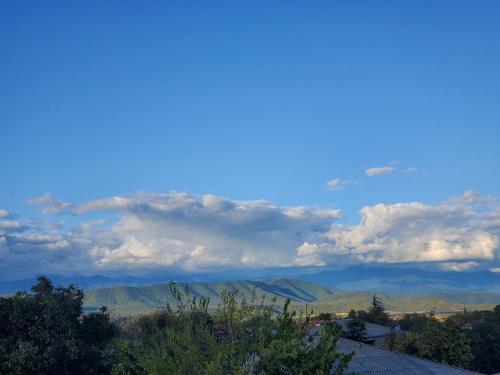 Gogi's Paradise Guesthouse in Akhmeta