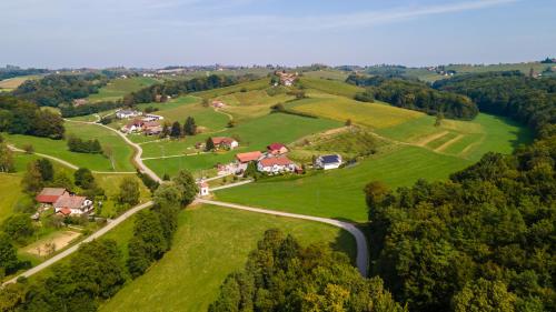 POD OREHI - Hiša na podeželju - RAZPRŠENI HOTEL Jeruzalem Slovenija