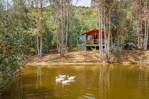 Cabaña Tipo Glamping Savieza Life Experience