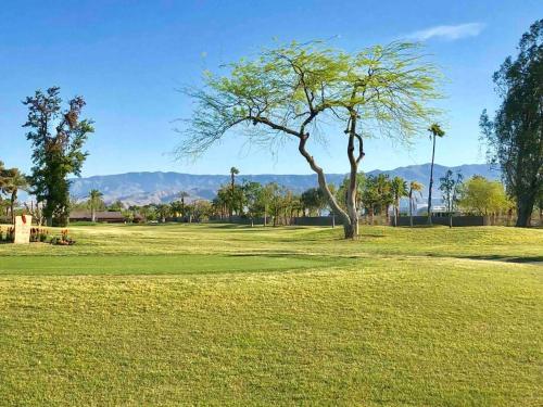 Desert Retreat Oasis in La Quinta, USA